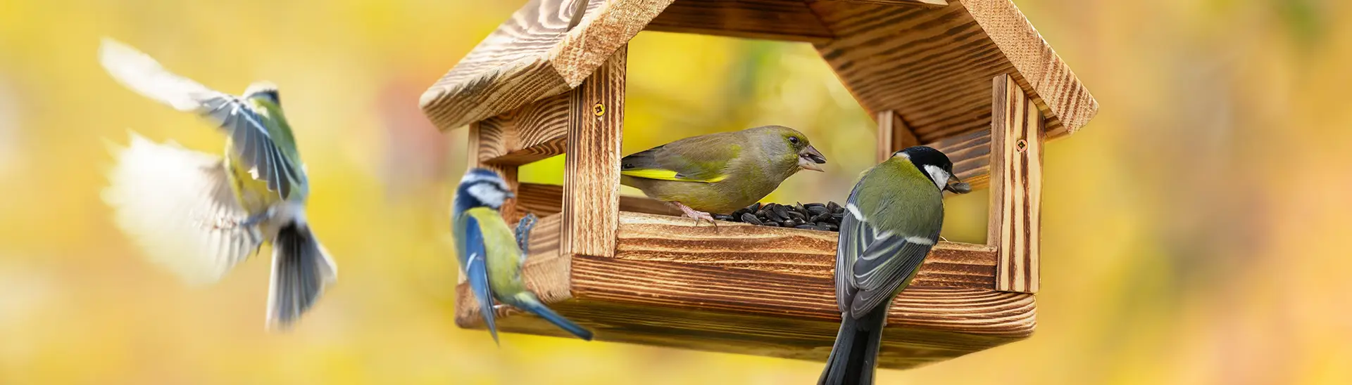 Birds eat seeds at a wooden feeder. One bird is flying nearby. The background is a soft yellow, adding a warm tone to the scene.