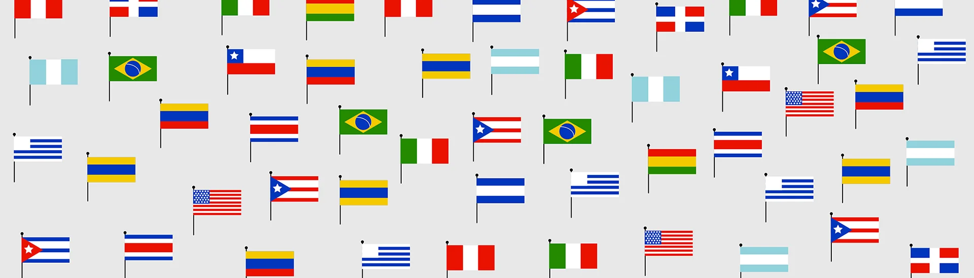 A banner of country flags.