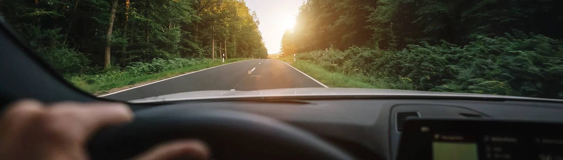 La mano izquierda de una persona está en el volante mientras el vehículo avanza hacia la luz del sol en una carretera arbolada.