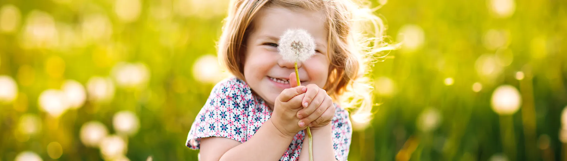 A young girl in a field holding a dandelion between her hands while smiling.