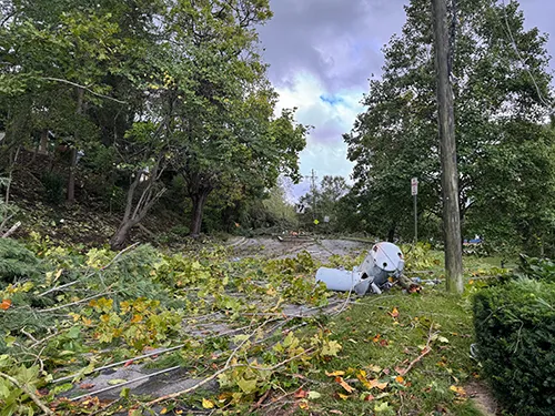 A shot from Asheville of some damage that took place in the wake of Hurricane Helene with a downed power line and tree branches.